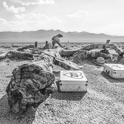 Herinneringsmonument U2 ( Joshua Tree)